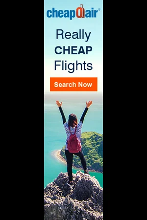 Tall sidebar sponsored display